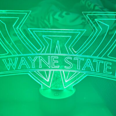 Wayne State LED light