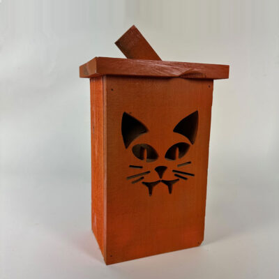 Cat Halloween Lantern